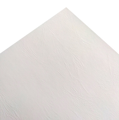 Бумага дизайнерская Xerox Leather Embossed White (Кожа) SRA3 (240 г/кв.м, 320x450 мм) [арт. 450L80007]