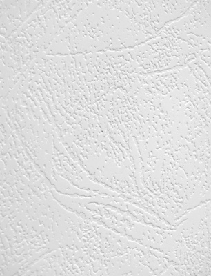 Фотобумага Host "Кожа" Глянцевая А4 (200г/кв.м, 20л/пач)