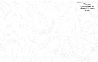 Обложки для переплета картонные "Кожа" белые А4 (230г/кв.м, 100л/пач) Обложки для переплета картонные "Кожа" белые А4 (230г/кв.м, 100л/пач)